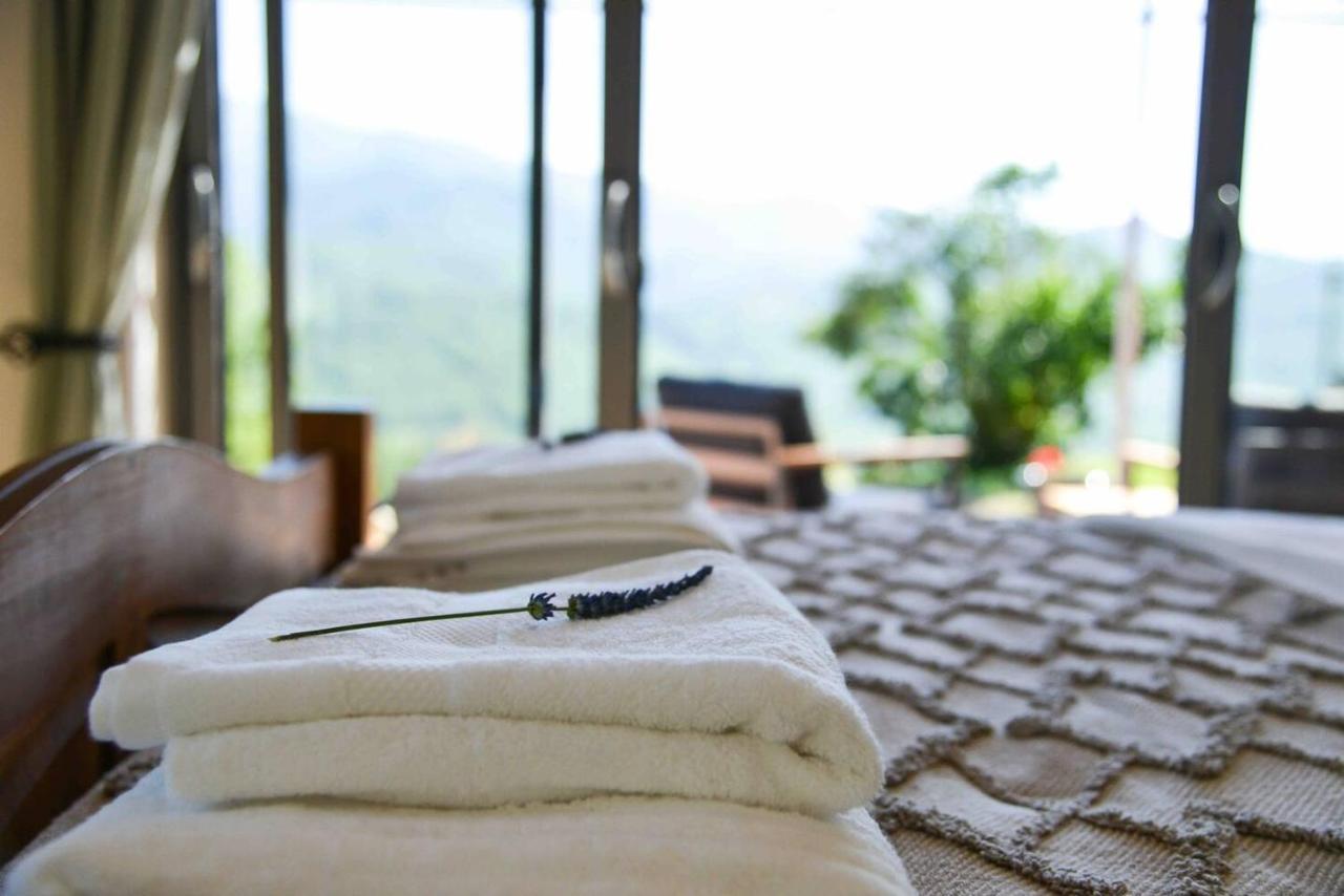Mountain Hikers Luxury Retreat In Roquefixade Villa Exteriör bild